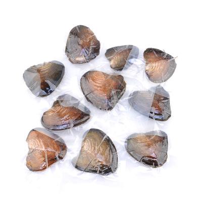 100pcs 6-8mm Freshwater Rice Oval Pearl Oyster Vacuum packed White Pink Purple Black DIY Party Oysters Accessories Birthday Gifts