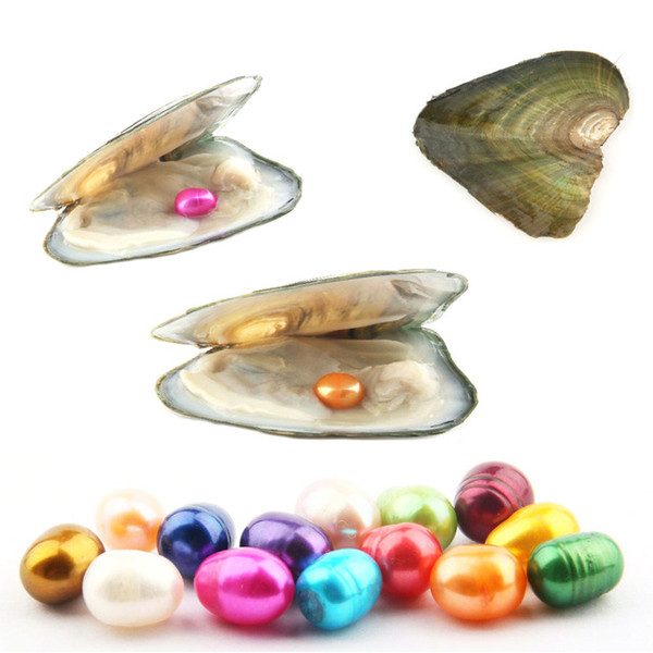 Natural Oval Freshwater Pearl loose Beads Oyster Wish Pearls Vacuum packaging Oyster Pearl 6-8mm Different Color Wholesale Price