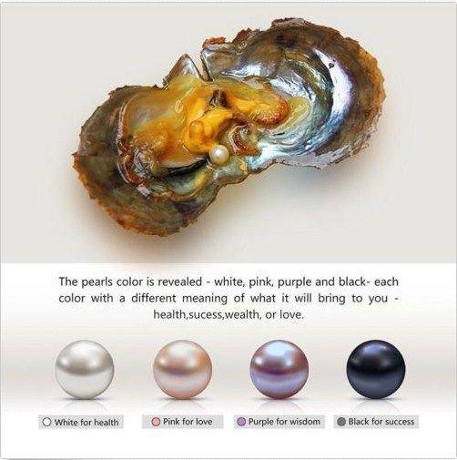 Individually Wrapped Natural Oysters With 6-7MM Round Pearls Jewelry 100pcs Lots Wholesale DHL Free Shipping