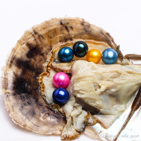 Sea Akoya Pearl oyster Round 6-7mm pearl 20 Colors seawater natural Oyster wish pearl meaning funny birthday DIY gift for mother days 2018