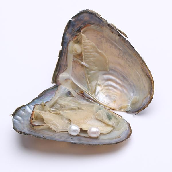 Bulk 100PCS Freshwater Oyster Mussel with Double AAA Grade 6-7mm White Rice Pearl with Vacuum Pack