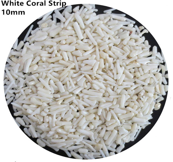 C38 200g 10mm Natural Coral Fossil Stone Aquarium Chrysanthemum Chips Gravel Beads Garden Fish Tank