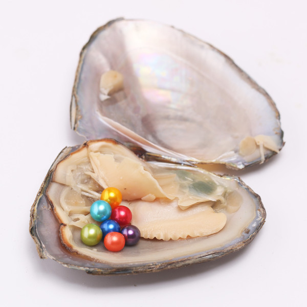 15PCS Freshwater Oyster with 7 Grains AAA Grade 6-7mm Round Rainbow Color Wish Pearl Beautiful Party Fun Gifts