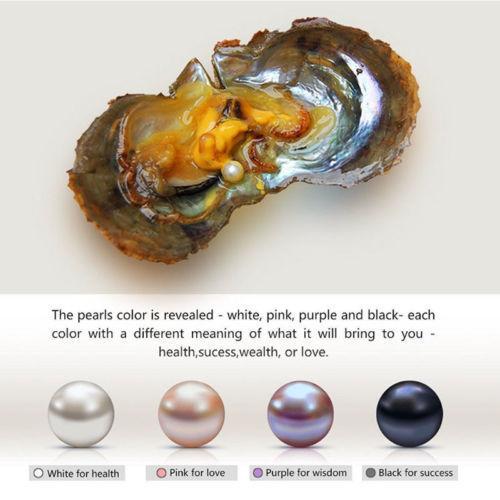 WHITE PURPLE PINK BLACK akoya ROUND freshwater Pearl Oysters With Real Pearl 6-7mm Freshwater Pearl Vacuum Packaging