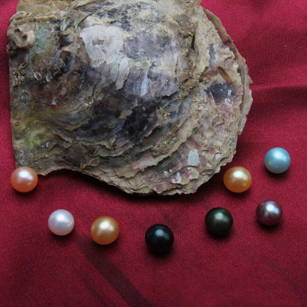 Sea Water Natural Akoya Big Round Pearls Loose Beads Cultured Fresh Oyster Pearl Mussel Farm Supply Dropshipping Wholesale 5-7mm Multicolor