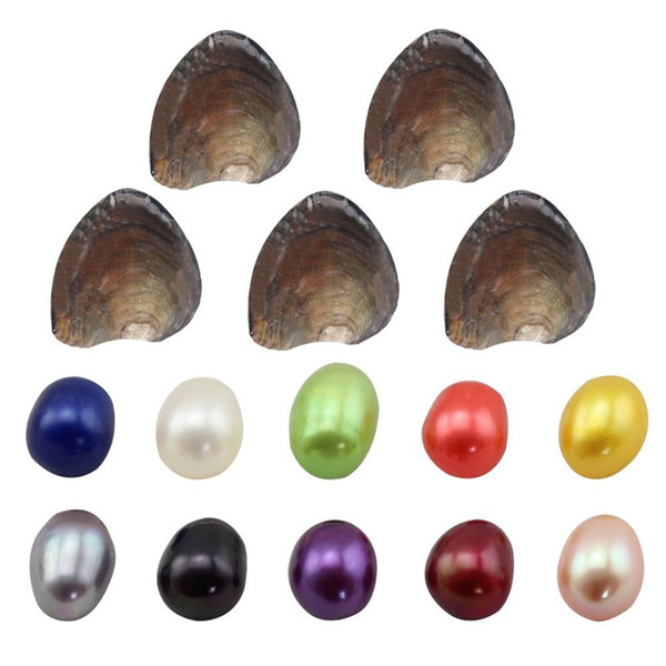 Love Wish Pearl Shell Surprise To Explore Oyster Pearls Party Fashion 3 Piece Meaningful Color Pearls Beads With Oysters Birthday Gift