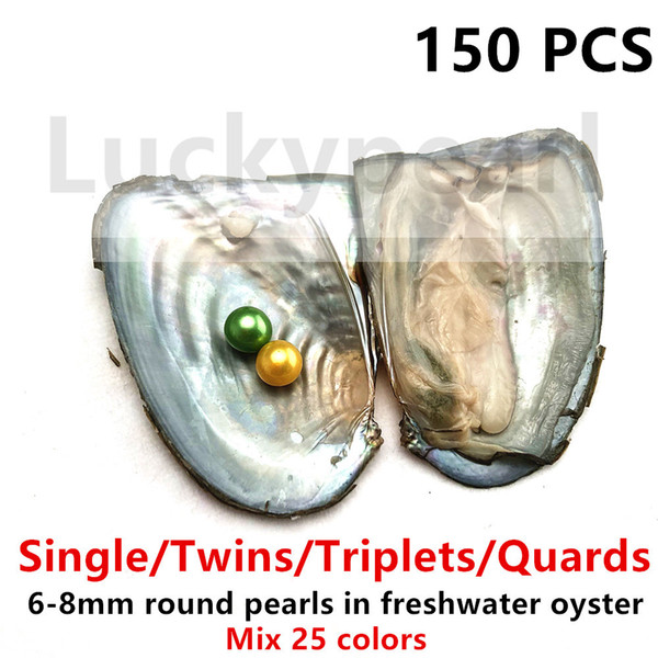 150 PCS 6-8mm Round Single/Twins/Triplets/Quards pearls in freshwater oysters individually vacuum Women Party Jewellery DHL Free Shipping