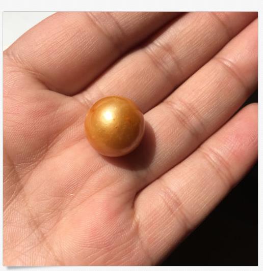 Huge Natural Round AAA 15-15.5mm Golden South Sea Loose Pearl Full Drilled