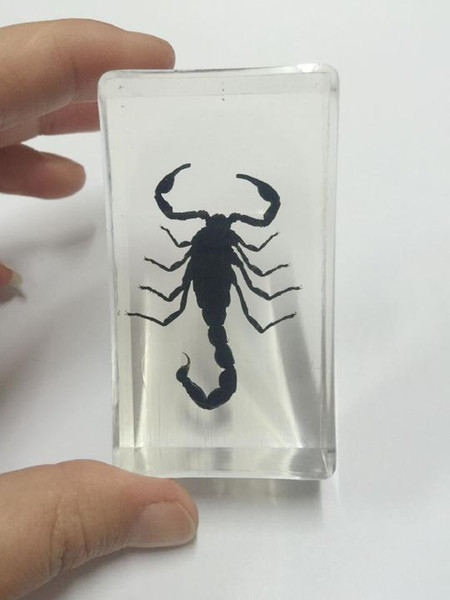 FREE SHIPPING yqtdmy Embedded Rare black scorpion chic Jewelry Gifts or Crafts