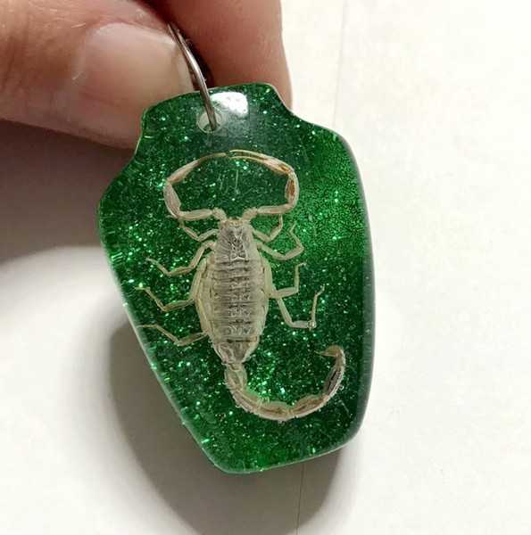 FREE SHIPPING Discount Sale Creative 50 pcs Scorpion Taxidermy Vase Style Jewelry Keychain