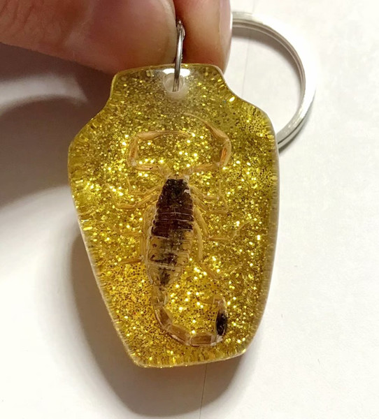 FREE SHIPPING Discount Sale Creative 50 pcs Scorpion Taxidermy Vase N 3 Cool Jewelry Keychain