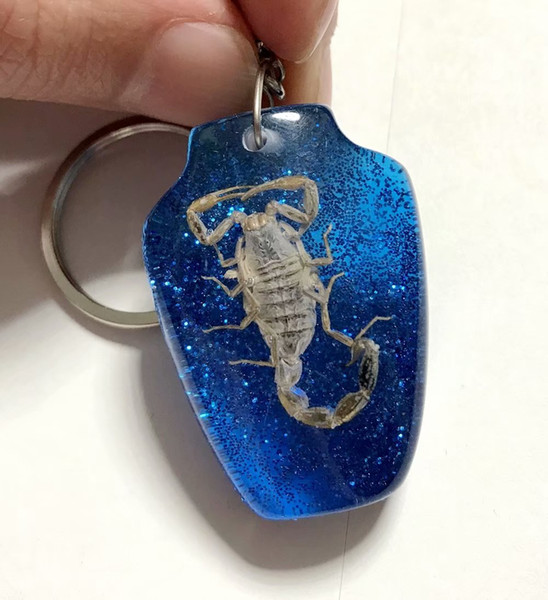 FREE SHIPPING Discount Sale Creative 50 pcs Scorpion Taxidermy Vase N 4 nice Jewelry Keychain