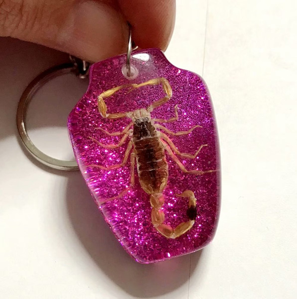 FREE SHIPPING Discount Sale Creative 50 pcs Scorpion Taxidermy Vase N 2 Design Jewelry Keychain