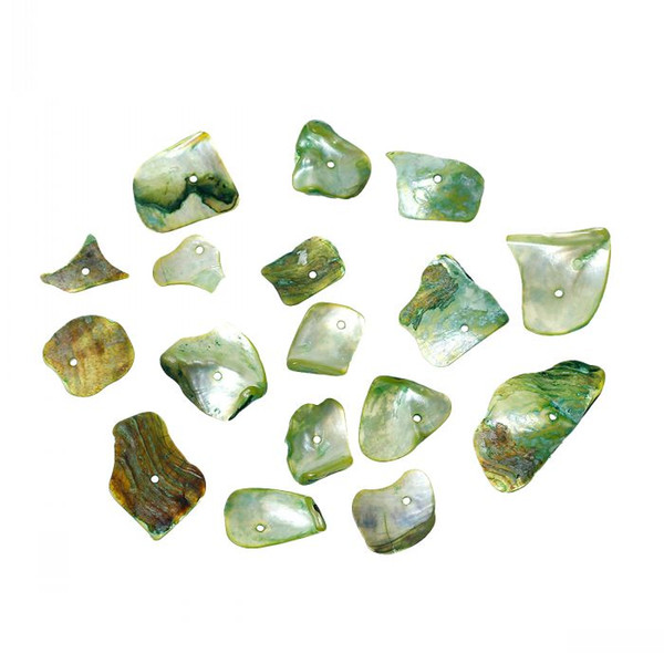 Dorabeads Shell Charm Beads Irregular Green About 27mm x 15mm(1 1/8