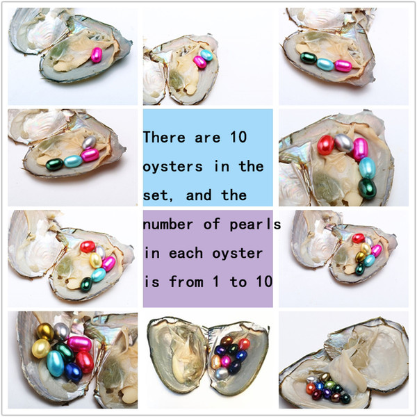 NEW Mix Set 10 PCS Lot Freshwater Oysters With 55 6-8mm Rice Oval Colourful Pearls For Gift With Individually Vacuum Packing Free Shipping