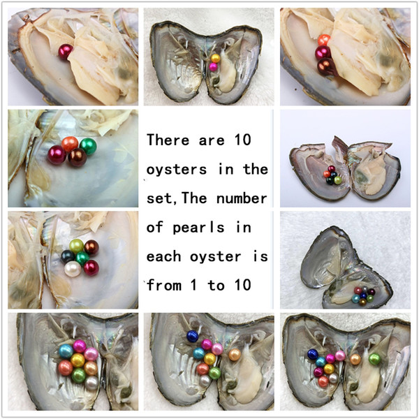 NEW Mix Set 10 PCS Lot Freshwater Oysters With 55 6-7mm Round Dyed Colourful Pearls For Gift With Individually Vacuum Packing Free Shipping