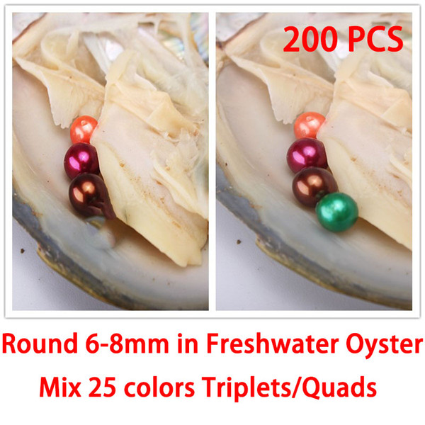 200PCS Triplets/Quads Colorful 6-8mm Round Pearls In Freshwater Oyster As DIY Surprise Gifts With Individually Vacuum Packing