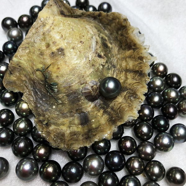 50PCS New 8-10mm Black Color Round Akoya Tahiti Pearl For DIY Bracelet Necklace Ring Festival Gift Free Shipping