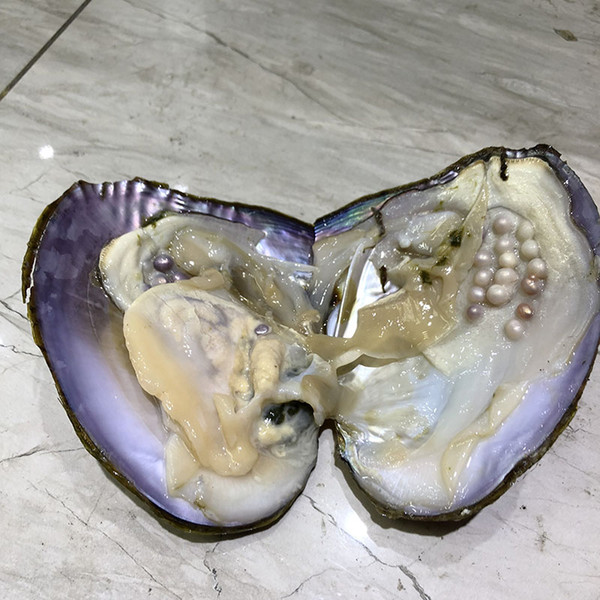 Tow Years Big Oyster With More Pearls 3-5mm Cultured in Fresh Pearl Oyster With Vacuum Packing DIY For Special Gift Supply Free Shipping