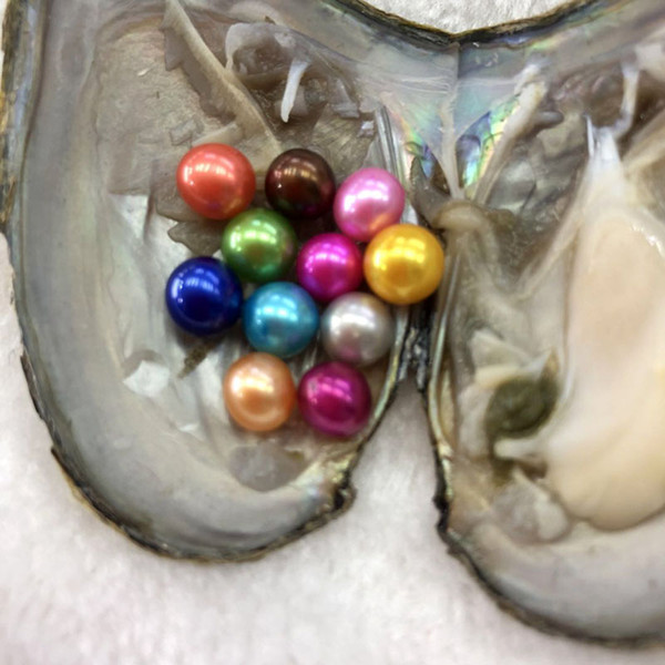 6-7 mm 11 Round Freshwater Pearl Oyster Materials For Dyeing Jewelry Exquisite As Mystery Surprise Gift With Vacuum Package