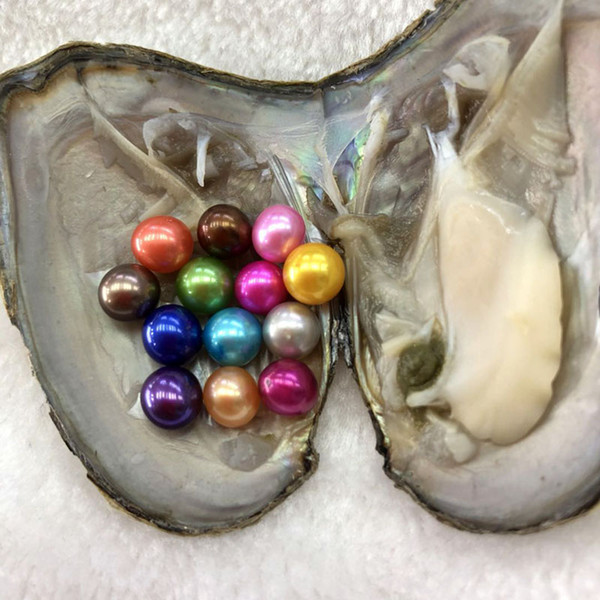 Mix Colors 6-7 mm 13 Round Pearl In Freshwater Oyster Shell Materials For Dyeing Jewelry Mystery Surprise Gift Vacuum Package Free Shipping