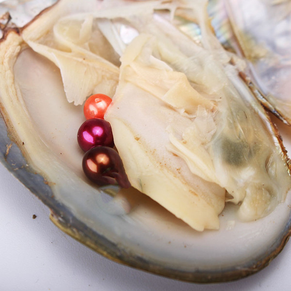 Triplet 6-7mm 3 Round Pearls In Freshwater Oyster Shell Materials For dyeing Jewelry Mystery Surprise Festival Gift With Vacuum Package