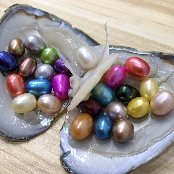 NEW Colorful 6-8mm 25 Rice Oval Pearls In Freshwater Oyster Shell For DIY Jewelry Festival Gift Pearl Party Free Shipping