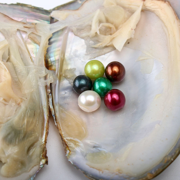 6-7 mm 6 Round Pearls In Freshwater Oyster Shell Materials For Dyeing Jewelry As Mystery Surprise Gift with Vacuum Package Free Shipping