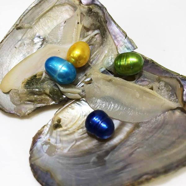 Colorful 9-11mm Freshwater 4 Big Rice Pearls Oyster Materials For Dyeing Jewelry As Mystery Surprise Gift With Vacuum Package Free Shipping