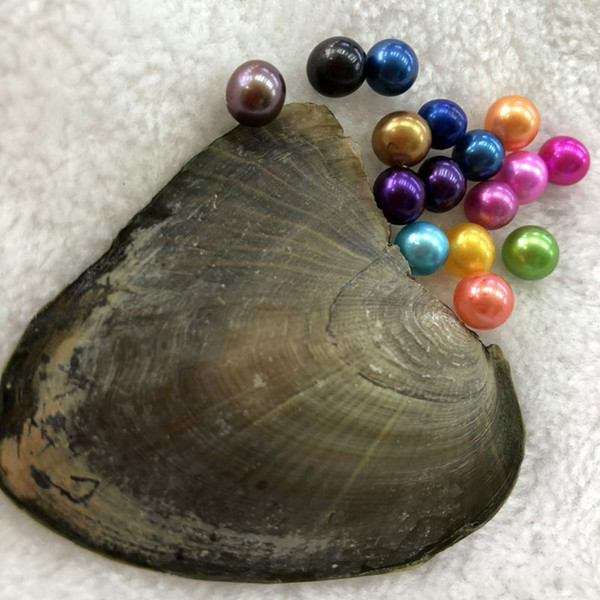 Colorful 6-7 mm 16 Round Freshwater Pearl Oyster Materials For Dyeing Jewelry As Mystery Surprise Gift With Vacuum Package