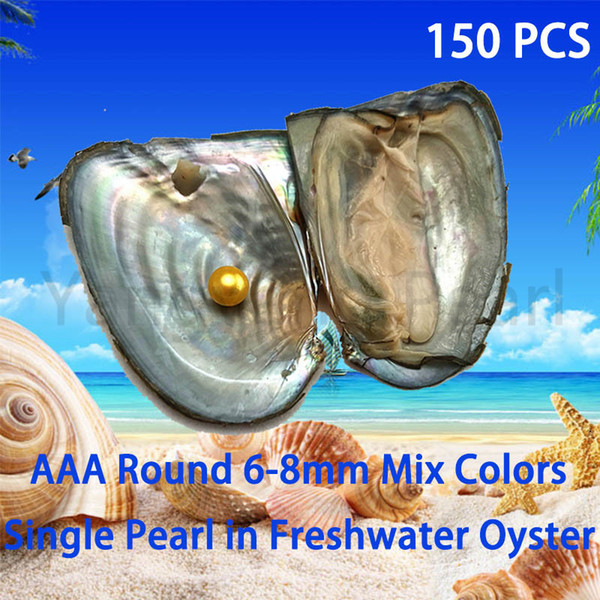 150PCS Mix Colors 6-8mm Single Round Pearl In Freshwater Oyster Shell DIY Fashion Gift For Women Pearl Party Vacuum Package Free Shipping