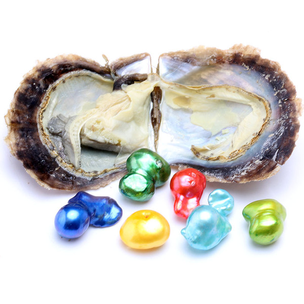 Single 10-16mm Colorful 1 Baroque Pearls In Seawater Oyster Shell Materials For Dyeing Jewelry Individual Vacuum Packing Free Shipping