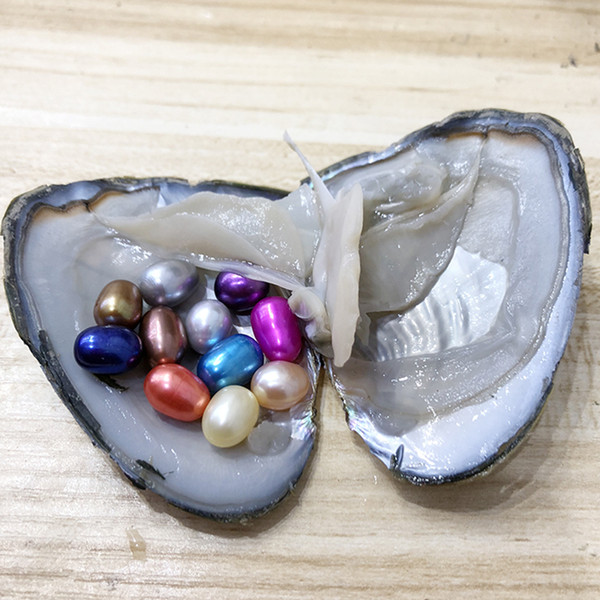 6-8mm 11 Oval Rice Pearls In Freshwater Oyster Shell Materials For Dyed Jewelry As Mystery Festival Gift Vacuum Package Free Shipping.