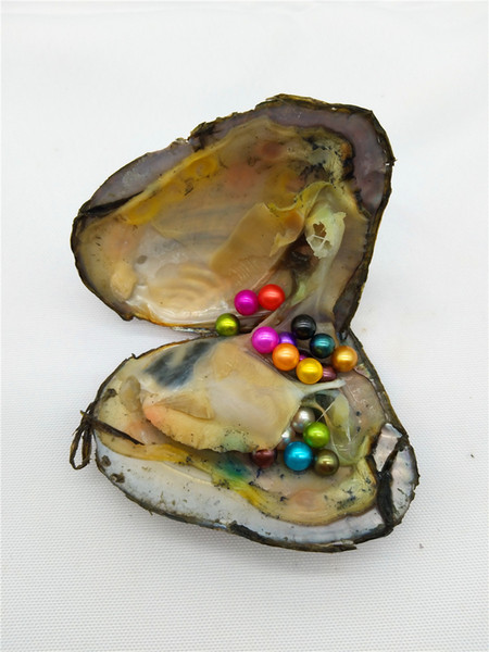 Wholesale Bulk Freshwater Pearl Oysters 6-7mm 3A Round Natural Cultured Rainbow Colored Pearl Oysters Free Shipping