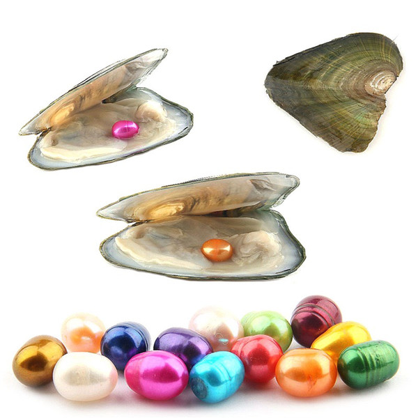 Oval Oyster Pearl 6-7mm Mix 15 Color Fresh Water Natural Pearl Gift DIY Loose Decorations Vacuum Packaging Wholesale Pearls Oyster