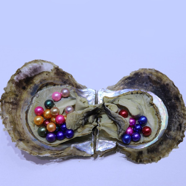 Saltwater Round Akoya Pearl Oyster Colors Mixed Colors 6-8 mm Cultured Pearl Oyster Vacuum Packing