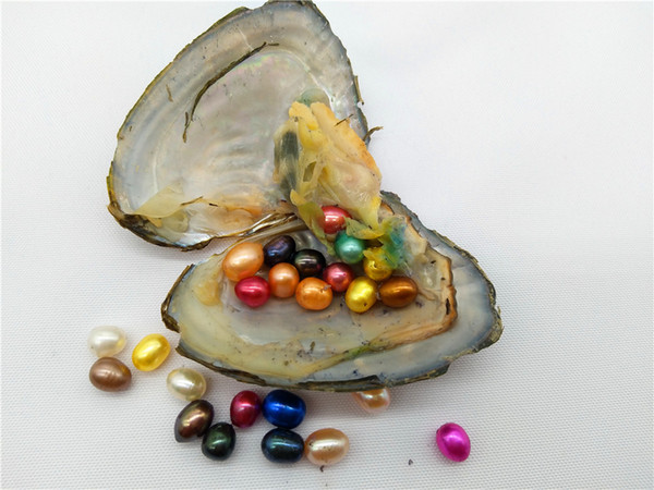 Mini Monster Freshwater Oyster With 3/4/5/6/7/10 Oval Rice Pearls Inside High Quality