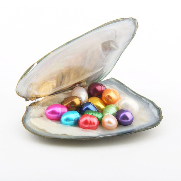 Wholesale Natural Pearl Oysters With 30pcs 6-7mm Oval Pearls/Oyster Inside(Mixed 15 Color) By Vacuum Packaging Pearl Party Gift