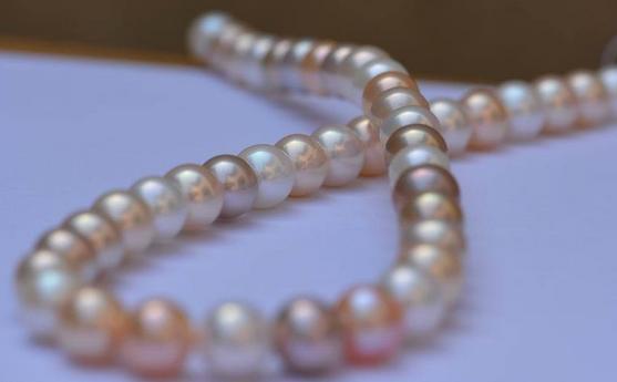 Classic 9-10mm natural south seas white pink purple multicolor pearl necklace 18 inch 925 silver clasp