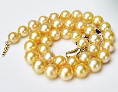 Charming 10-11mm Natural South Seas Gold Pearl Necklace 18inch 925 Silver Clasp