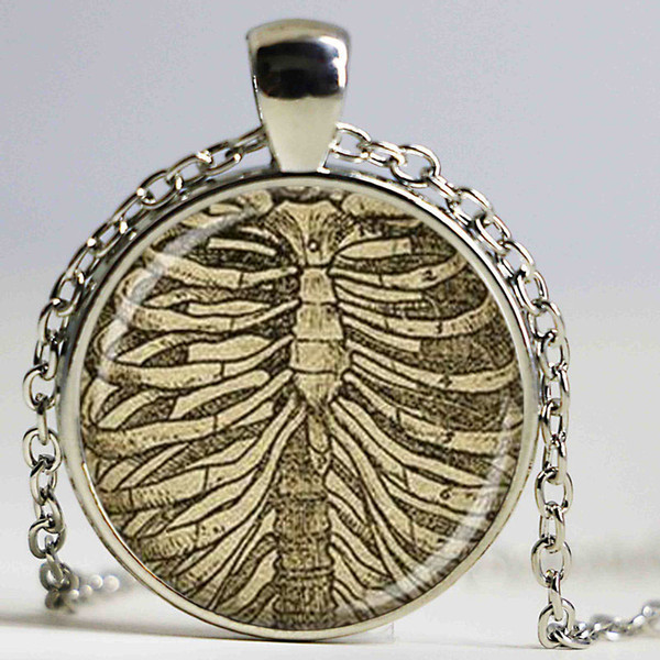 Dark skeleton shield Necklace anatomy necklace diy game jewelry