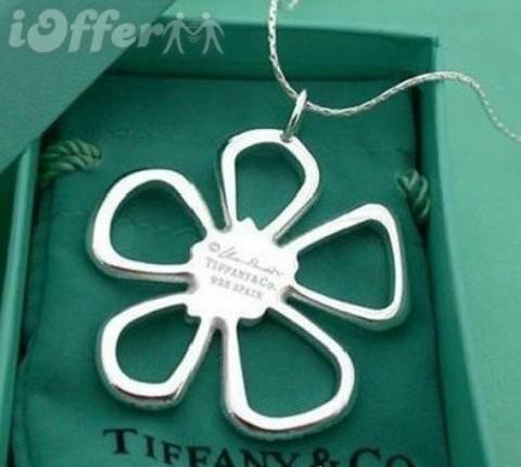 Top quality 100% Tiffany925 silver Stud earring Brand designer earrings with box