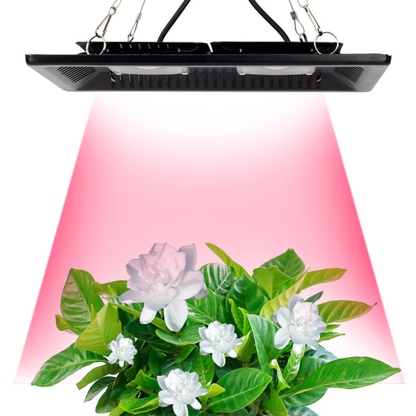 COB Led Grow Light 200W Full Spectrum Ultra-Thin Waterproof IP67 Flowers Growing Lamp for Vegetables and Bloom Indoor Outdoor Plant