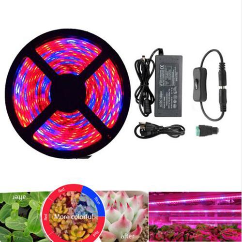 Plant Grow lights Full Spectrum LED Strip Grow light Flower phyto lamp 5m Waterproof Red blue 4:1 for Greenhouse Hydroponic + Power adapter