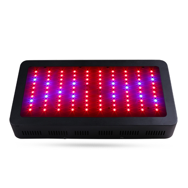 Best seller 300W Led Grow light Red+Blue 4 spetrums Indoor grow box Hydroponic Systems lamps for plants led grow tent