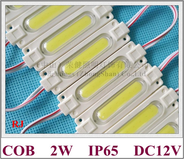 injection with lens COB LED module waterproof LED back light backlight for sign channel letter DC12V 2W IP65 CE ROHS