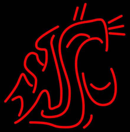 National College Basketball Washington State Cougar Neon Sign Lighting Snake Logo Team Sign Sport Dsiplay Adertising Sign 16