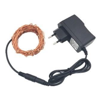 10M 100LED Copper wire lamp 12V1A Power Adapter Waterproof Collorful Interior Decoration Light for Christmas