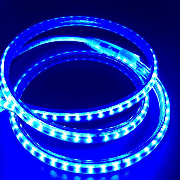 50M 220V High Voltage Led Strips 3014 Waterproof Led Light Strips 120leds/M White / Warm White / Blue + Power Supply DHL Free Shipping