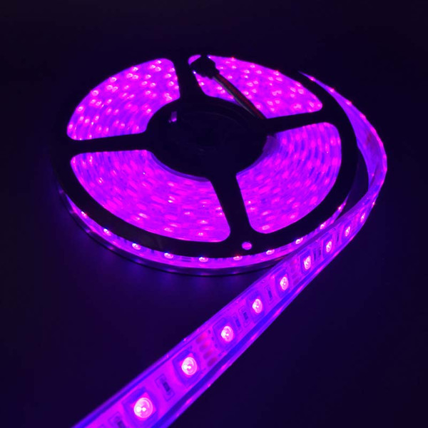 50M waterproof IP68 SMD5050 LED Strip Light DC 12V 60 Leds/M + 44 keys Remote Controller Outdoor led lighting